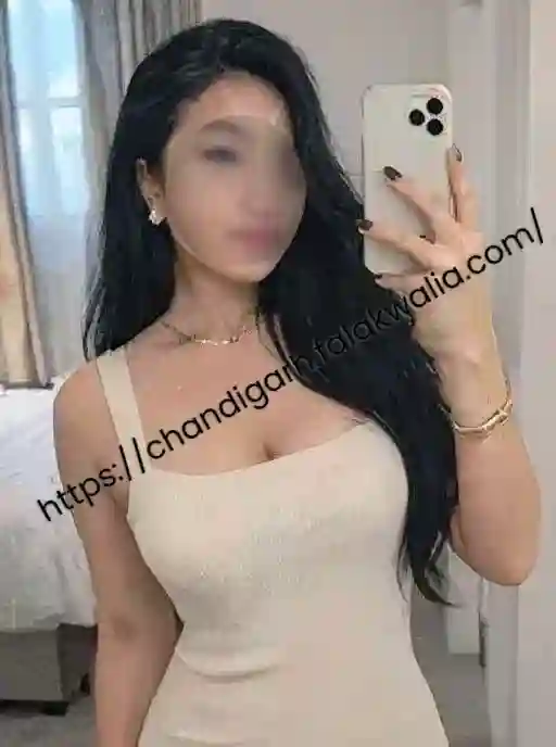 independent escorts chandigarh