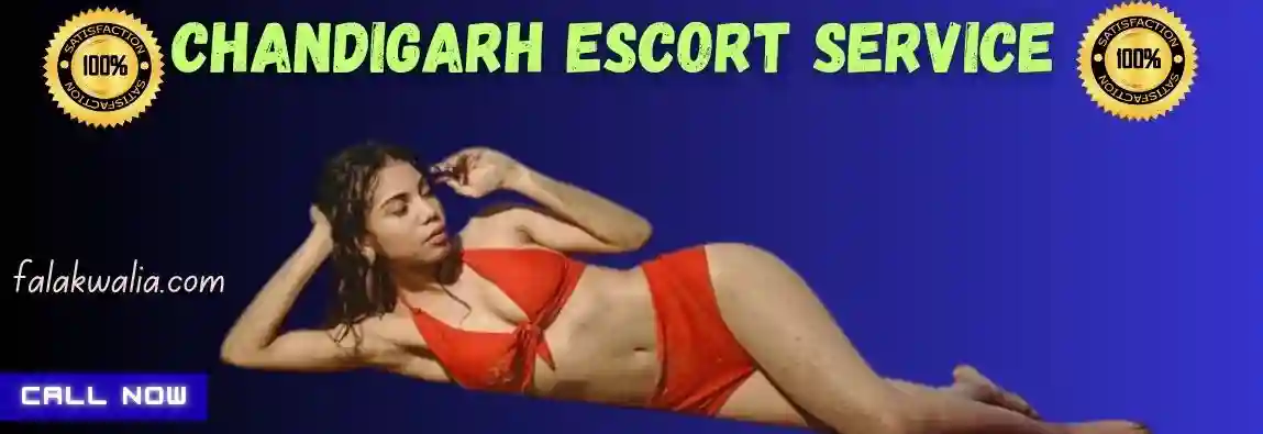 chandigarh escort service